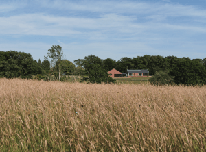 exterior at the brick barn, by hapa architects, looking across grass fields